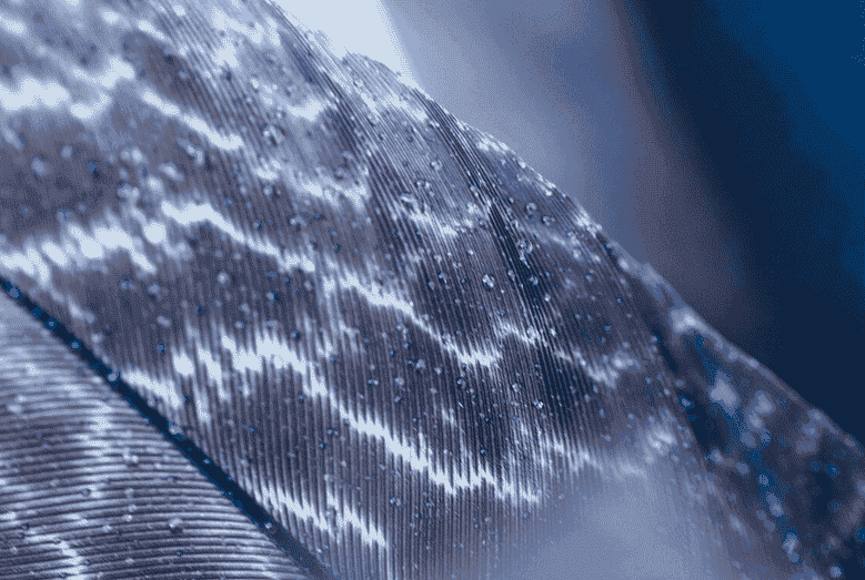 超快冷技术在不锈钢热处理中有哪些创新应用